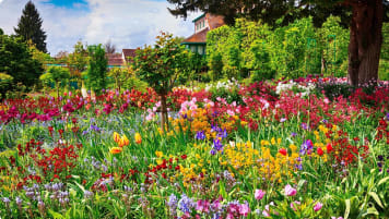 Giverny, France