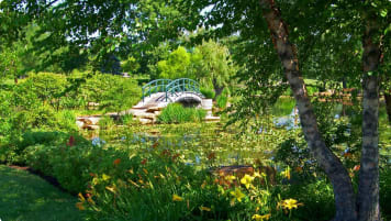 Monet's Giverny Garden