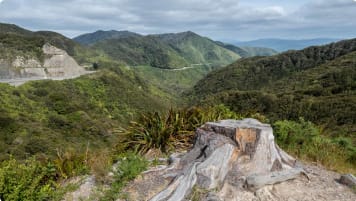 Panorama from the top of Rimutaka Hill (Upper Hill, New Zealand)