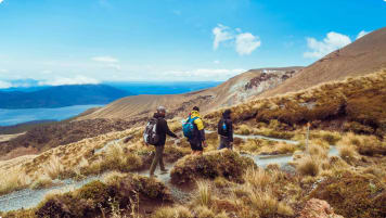 camino tours for seniors