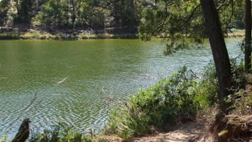 Lake Surprise, Budj Bim National Park