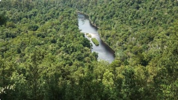 The Tarkine