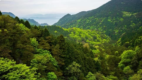 Lushan National park