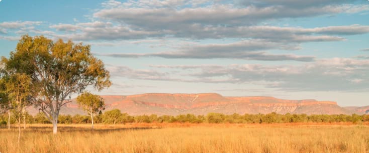 Cockburn Ranges Panoramic