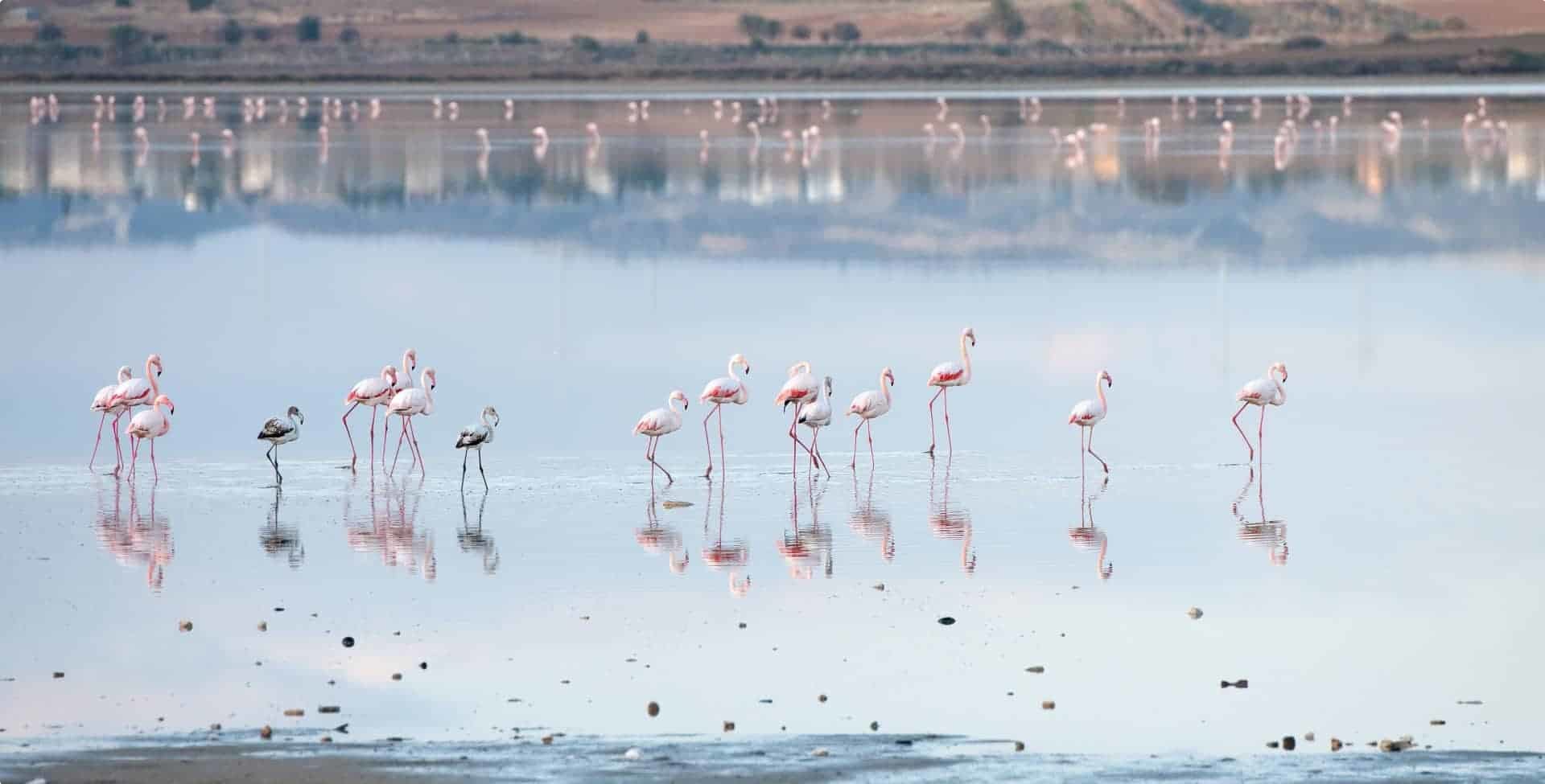 Cyprus, Eastern Mediterranean