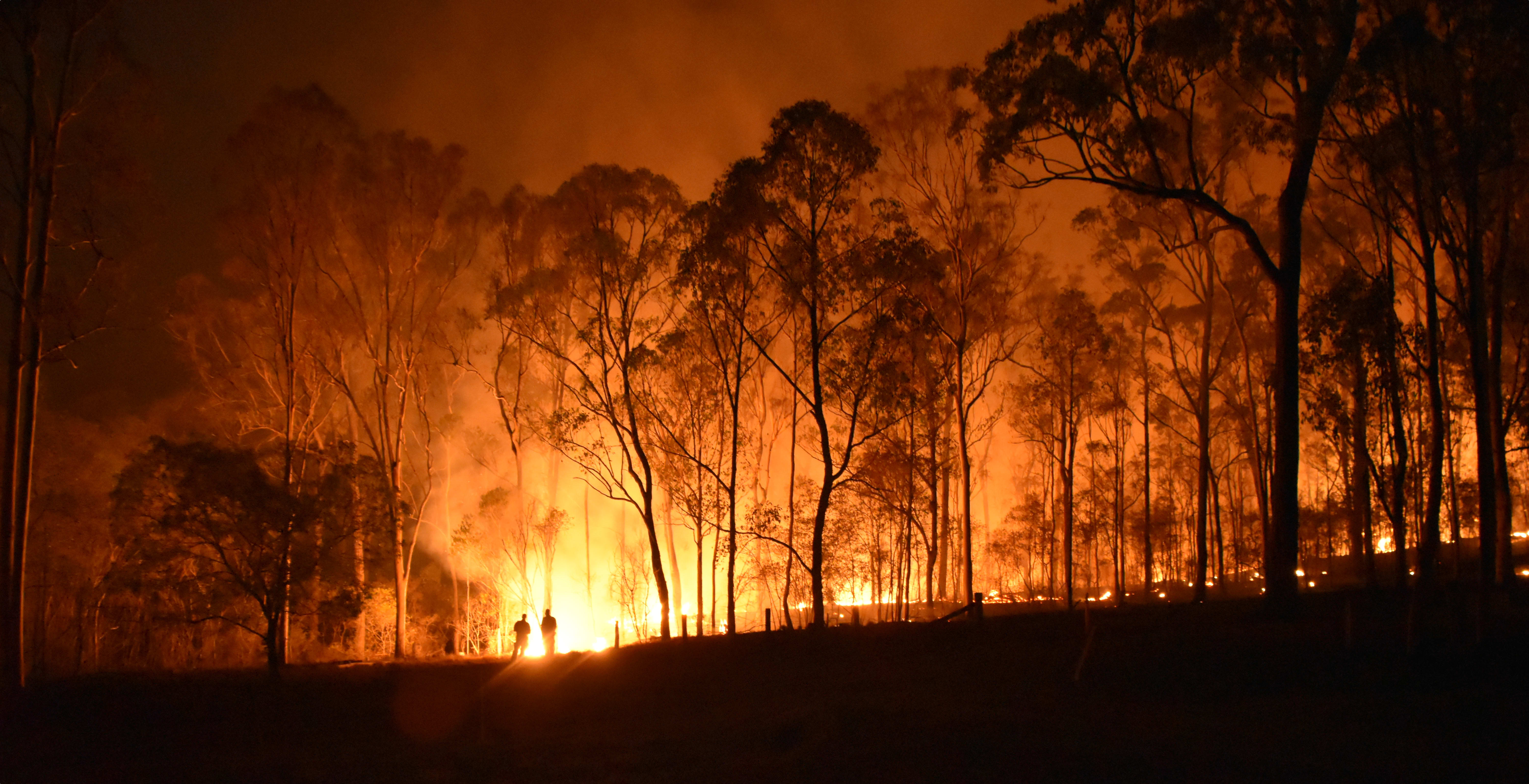 Carnarvon Gorge bushfire burns through thousands of hectares