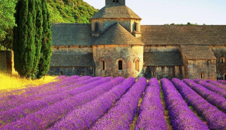 Provincial France Lavender