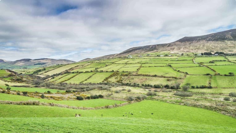 Irish fields in the sunset in County Kerry just outside of Dingle Ireland