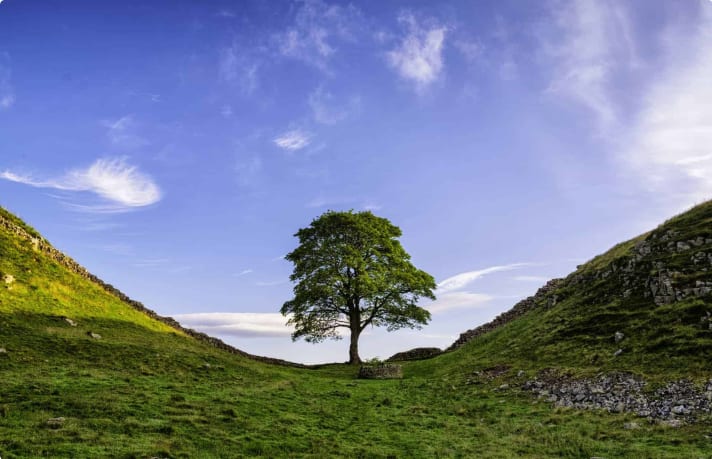 Dry Stone Wall