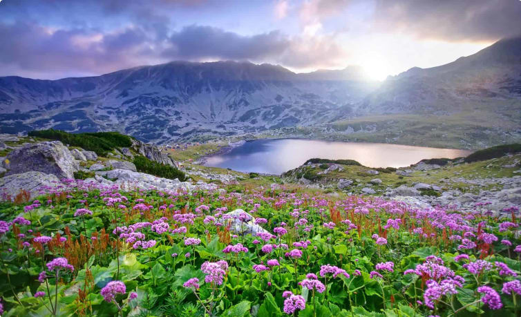 Retezat National Park in Romania