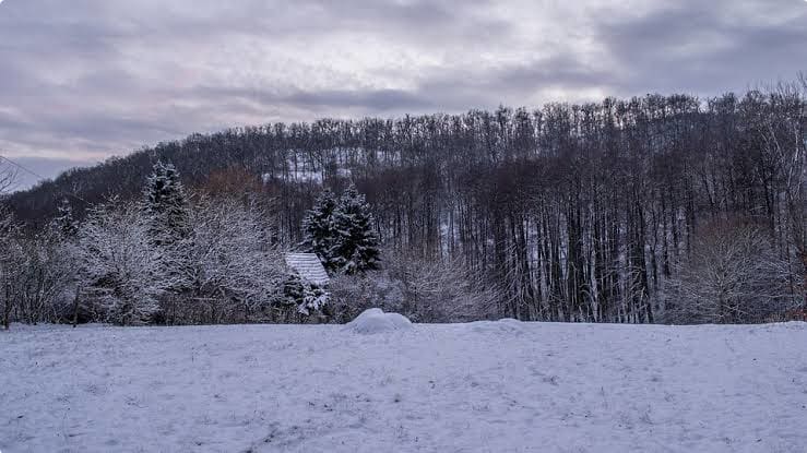 A Hungarian Winter