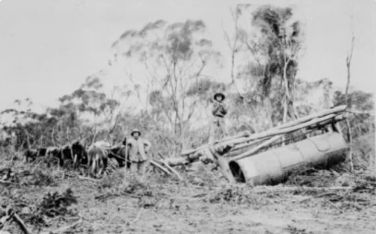 Mallee root roller 