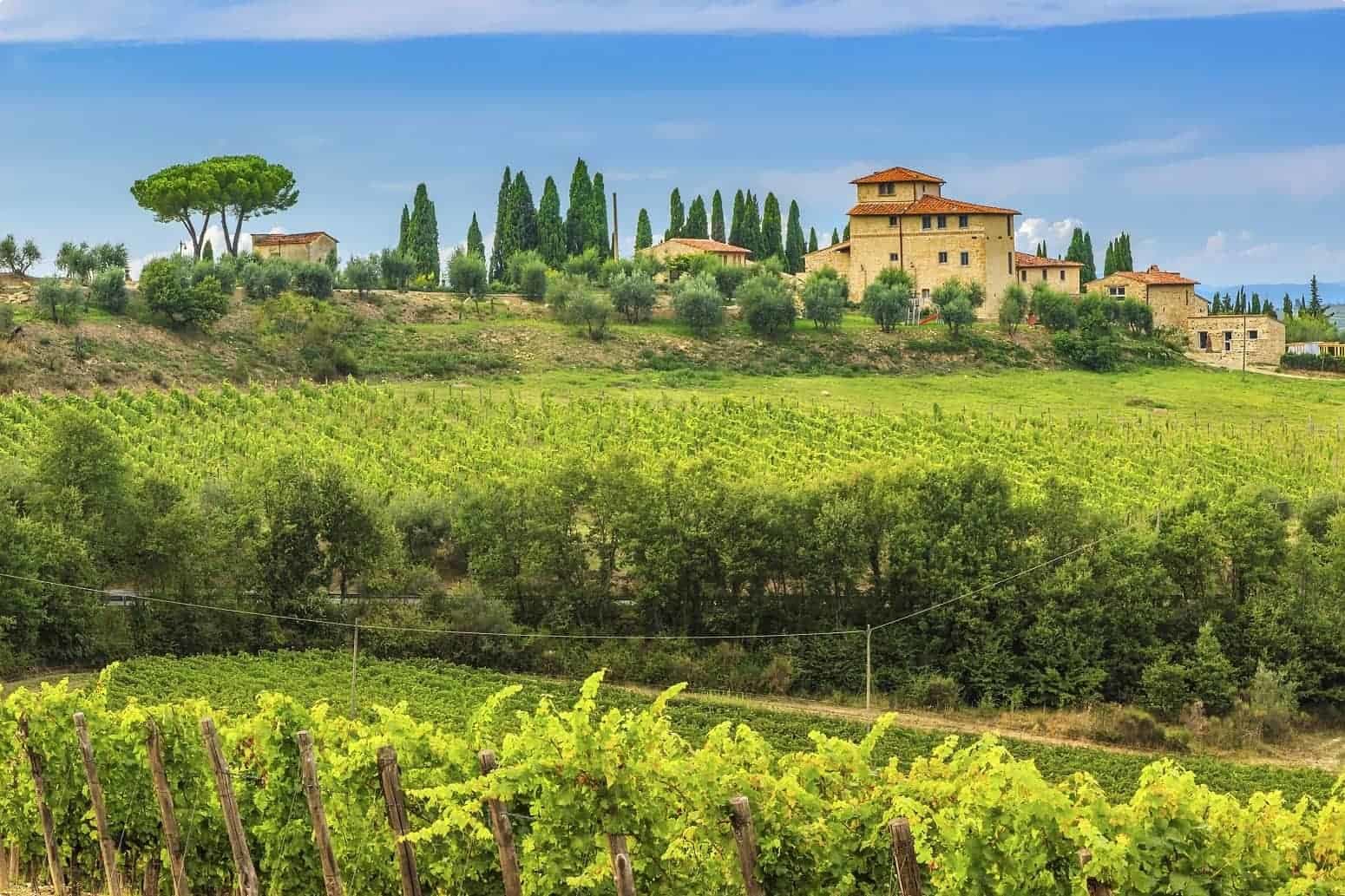 Chianti vineyard ,Tuscany, Italy