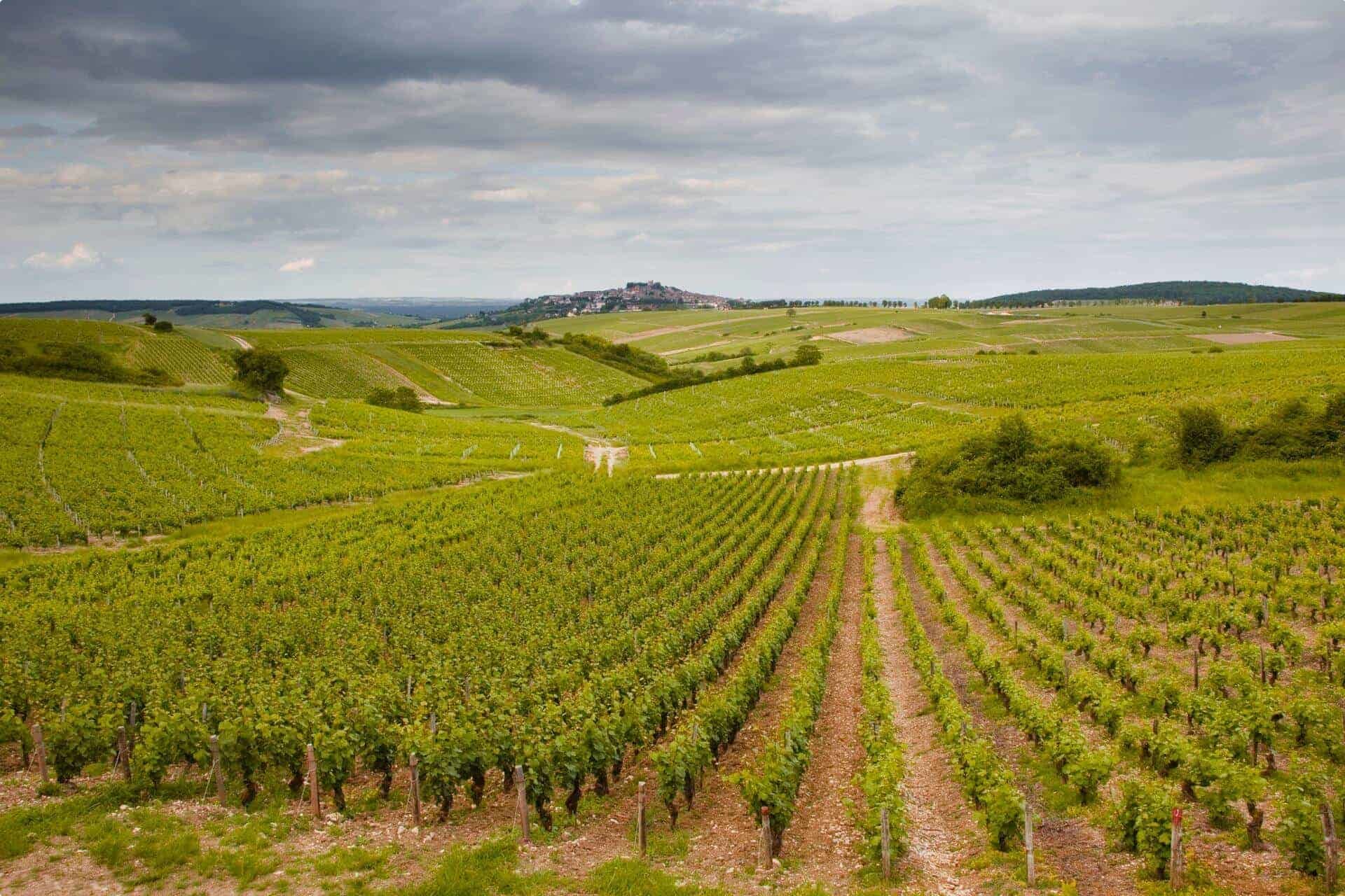 Sancerre in the Loire Valley of France.