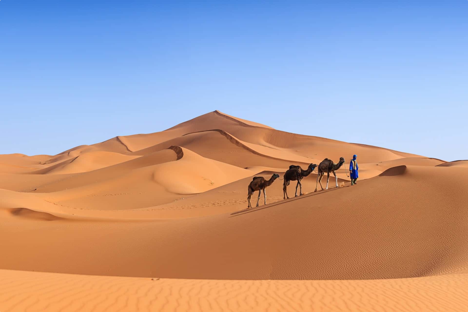 Morocco tours desert