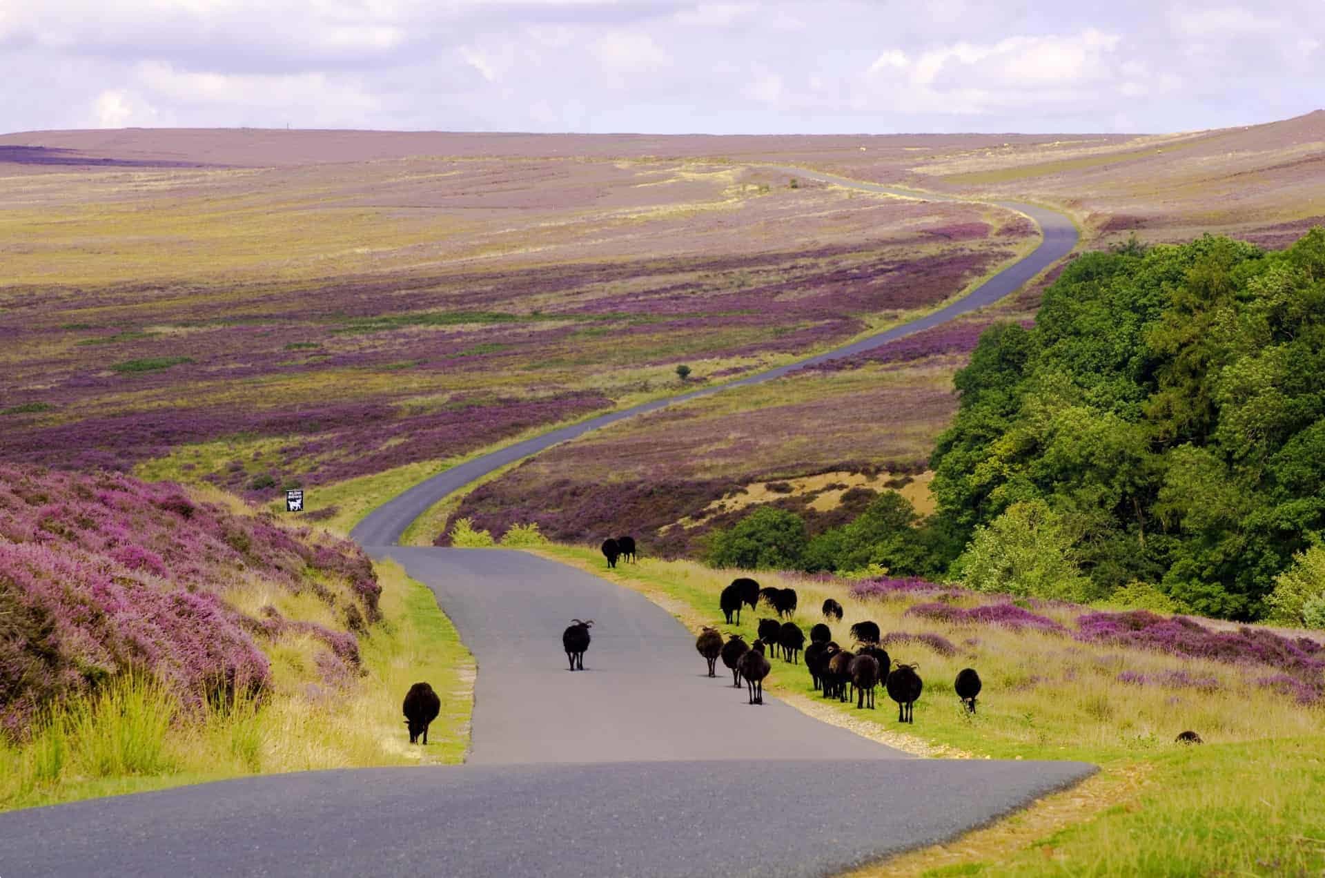 English villages tour, Yorkshire, England