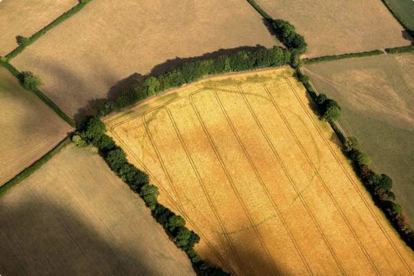 Aerial observation of Archaeological features 