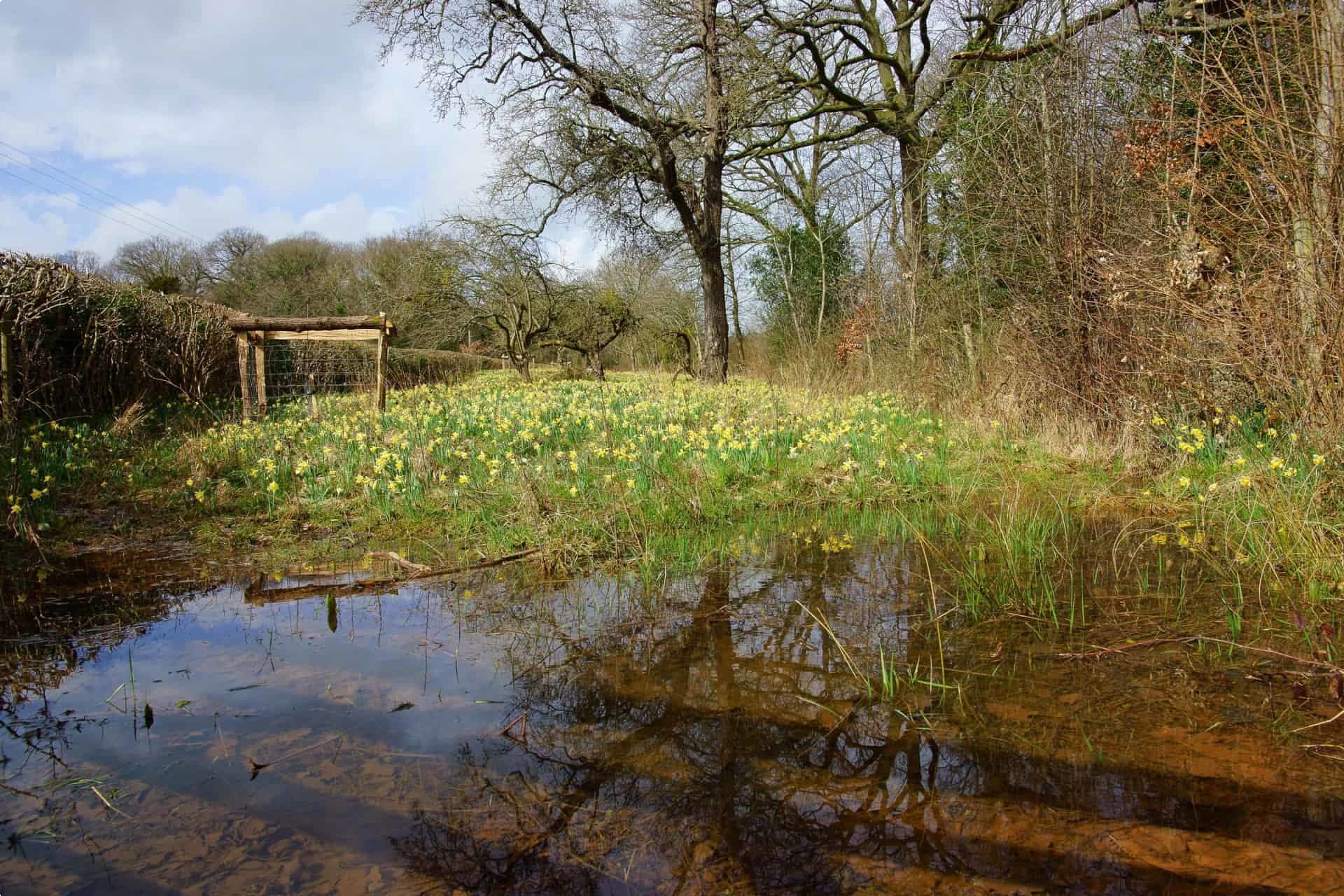 Short walks of Britain