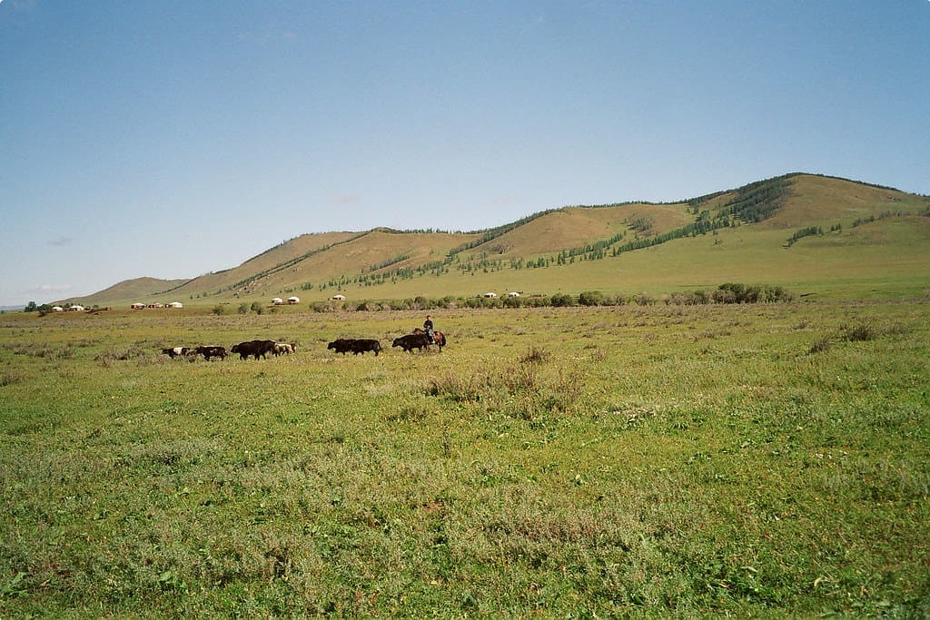 Rural Mongolia