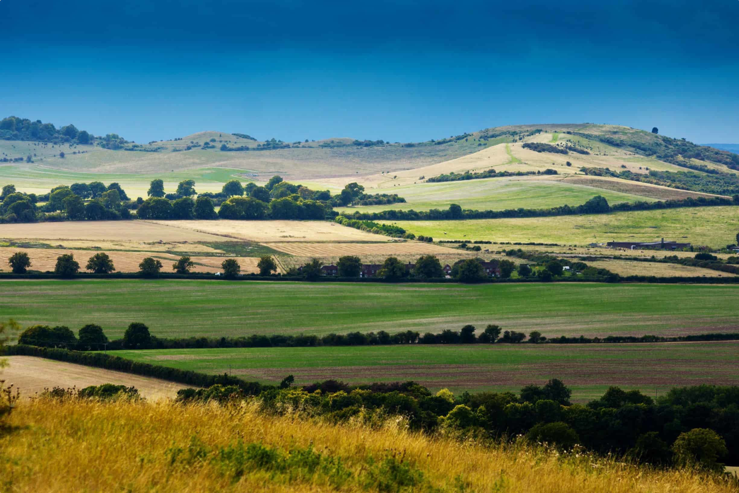 Bedfordshire