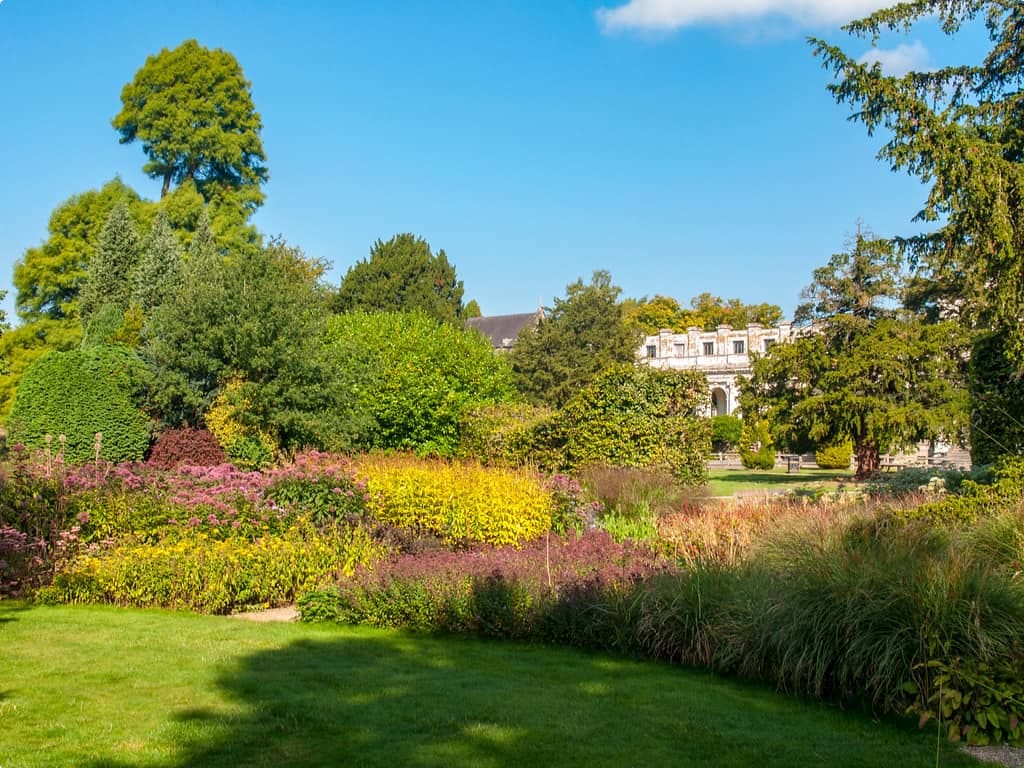 A collection of trees and shrubs at Trentham Gardens