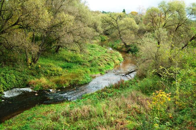 The small Lietauka River which may have inspired the name Lithuania