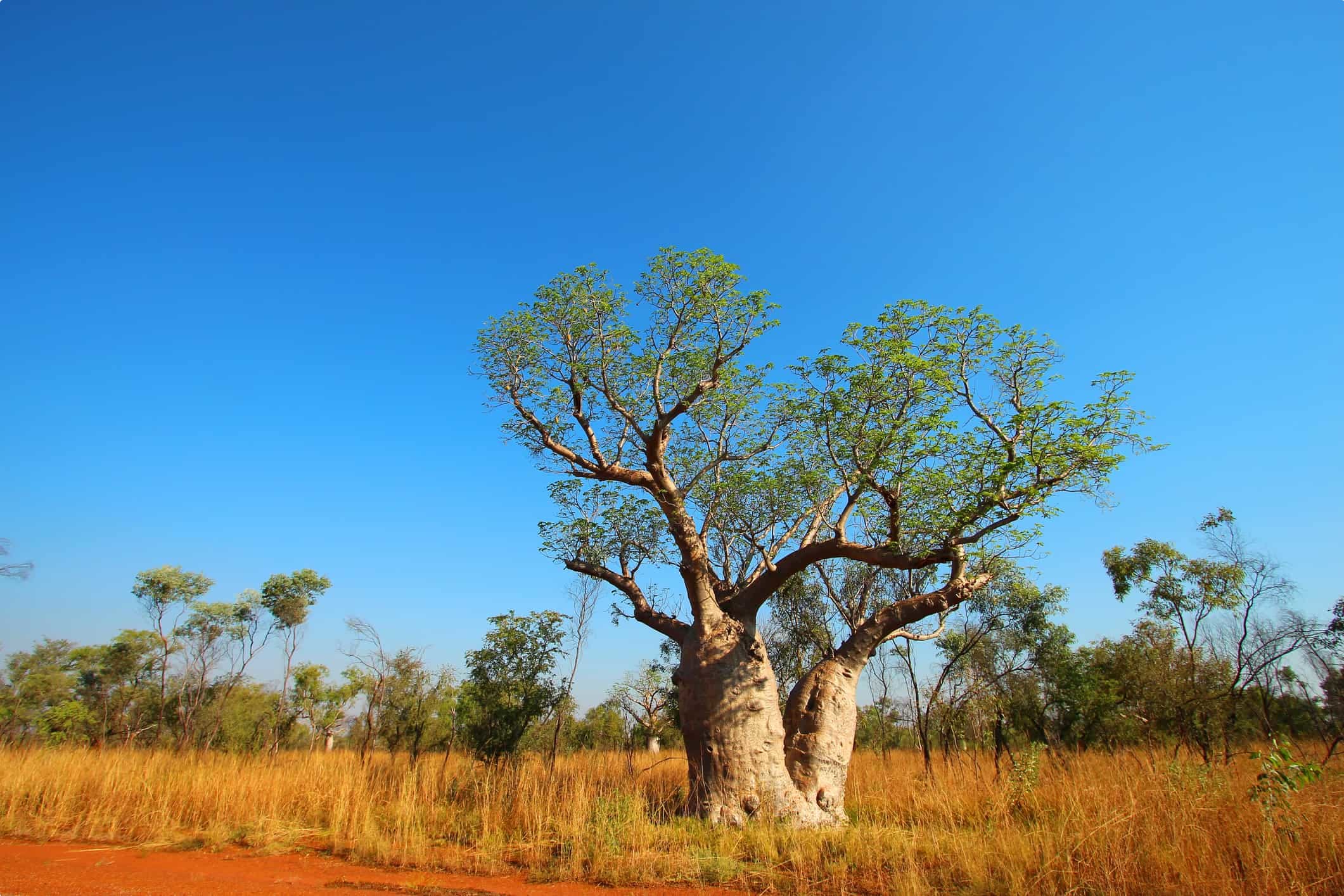 Kimberley, Western Australia