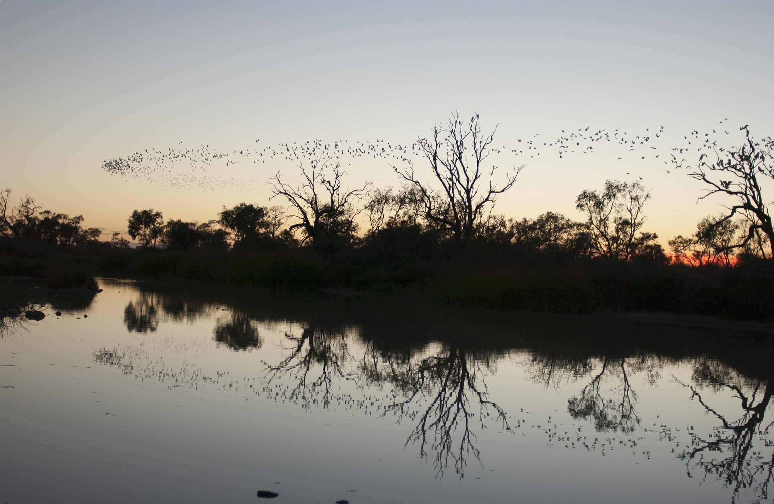 Diamantina River