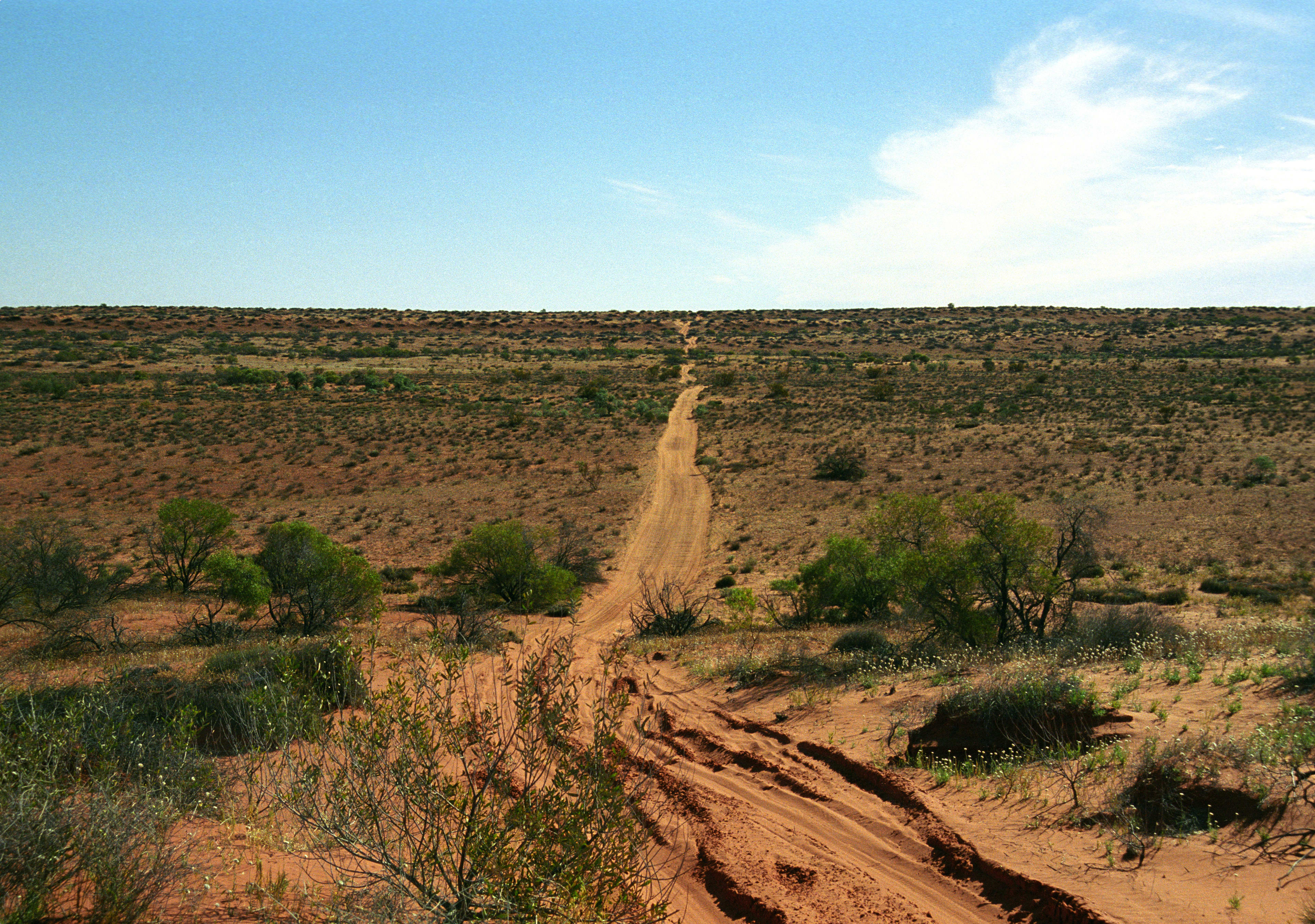 Simpson desert