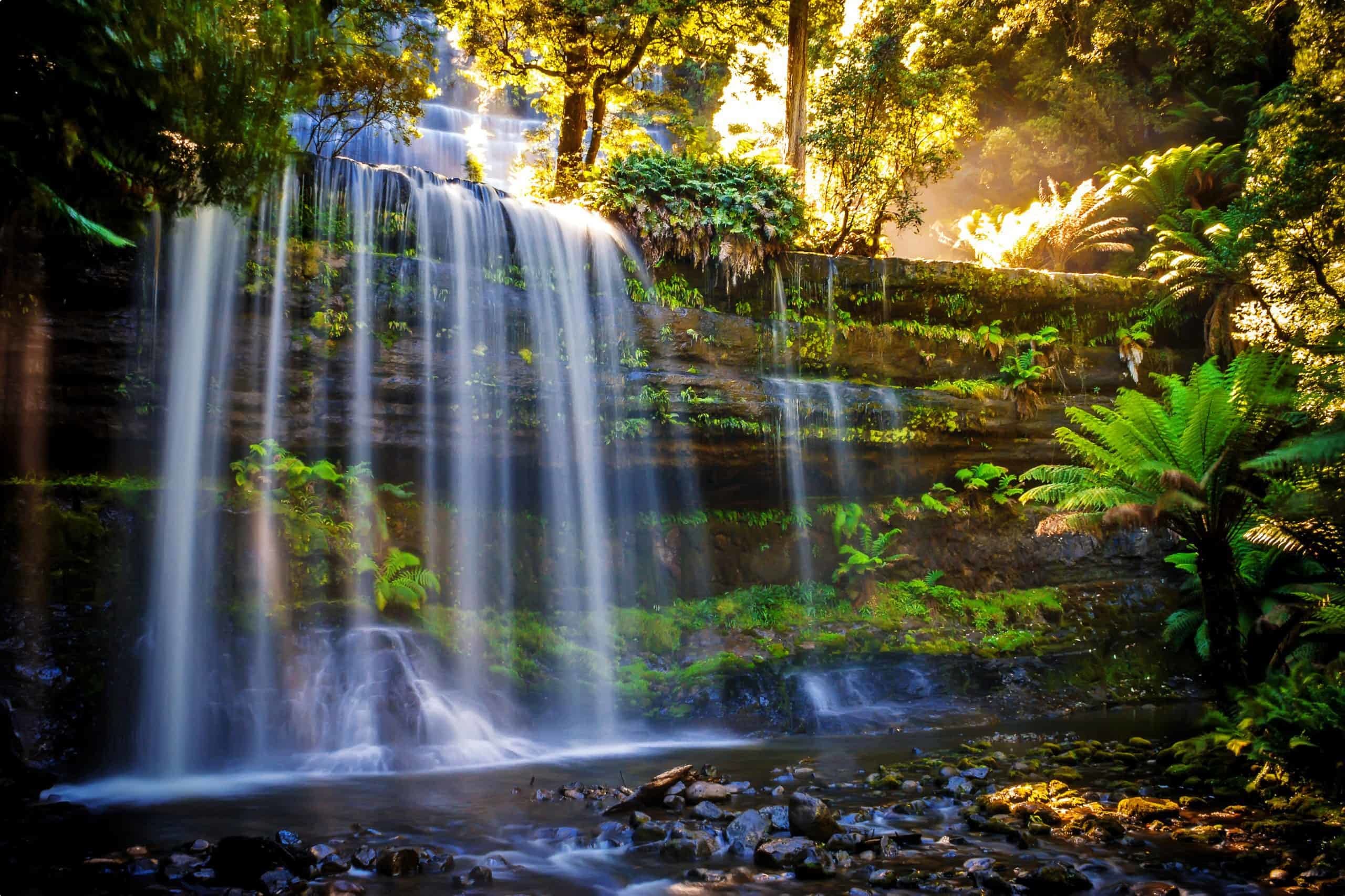 small group escorted tours tasmania