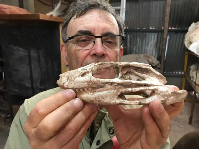 Doug Miller holds a perfect little fossil skull at the Proyecto Dino museum