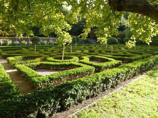 A Knot Garden