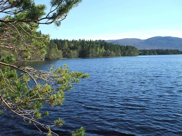 Loch Garten