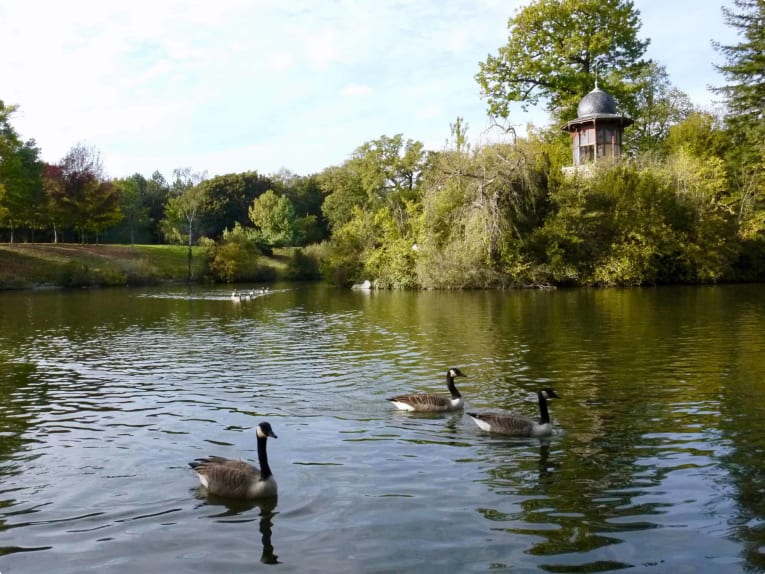 Bois du Boulogne