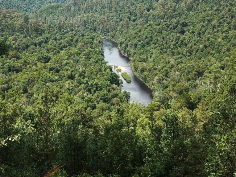 The Tarkine