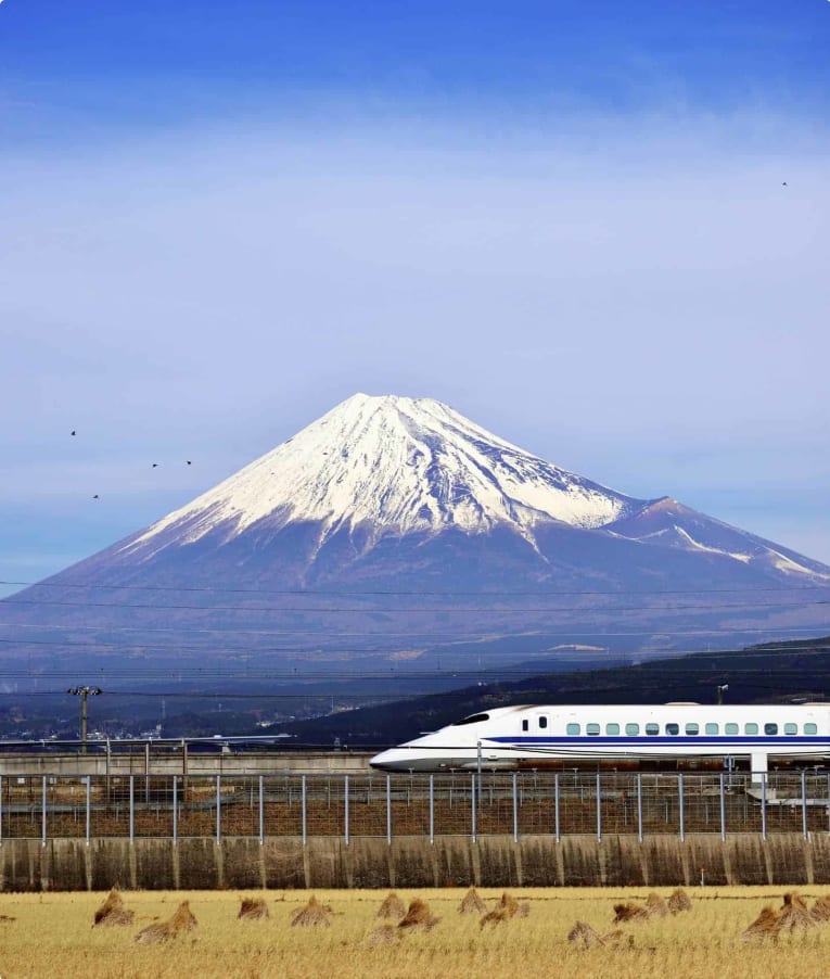 history tours of japan