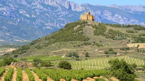 Vineyard with Davaillo castle as background, La Rioja (Spain)