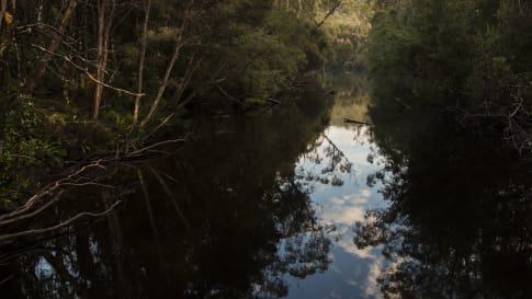 Franklin River