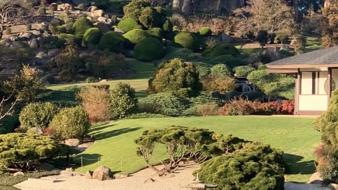 Cowra Japanese Garden