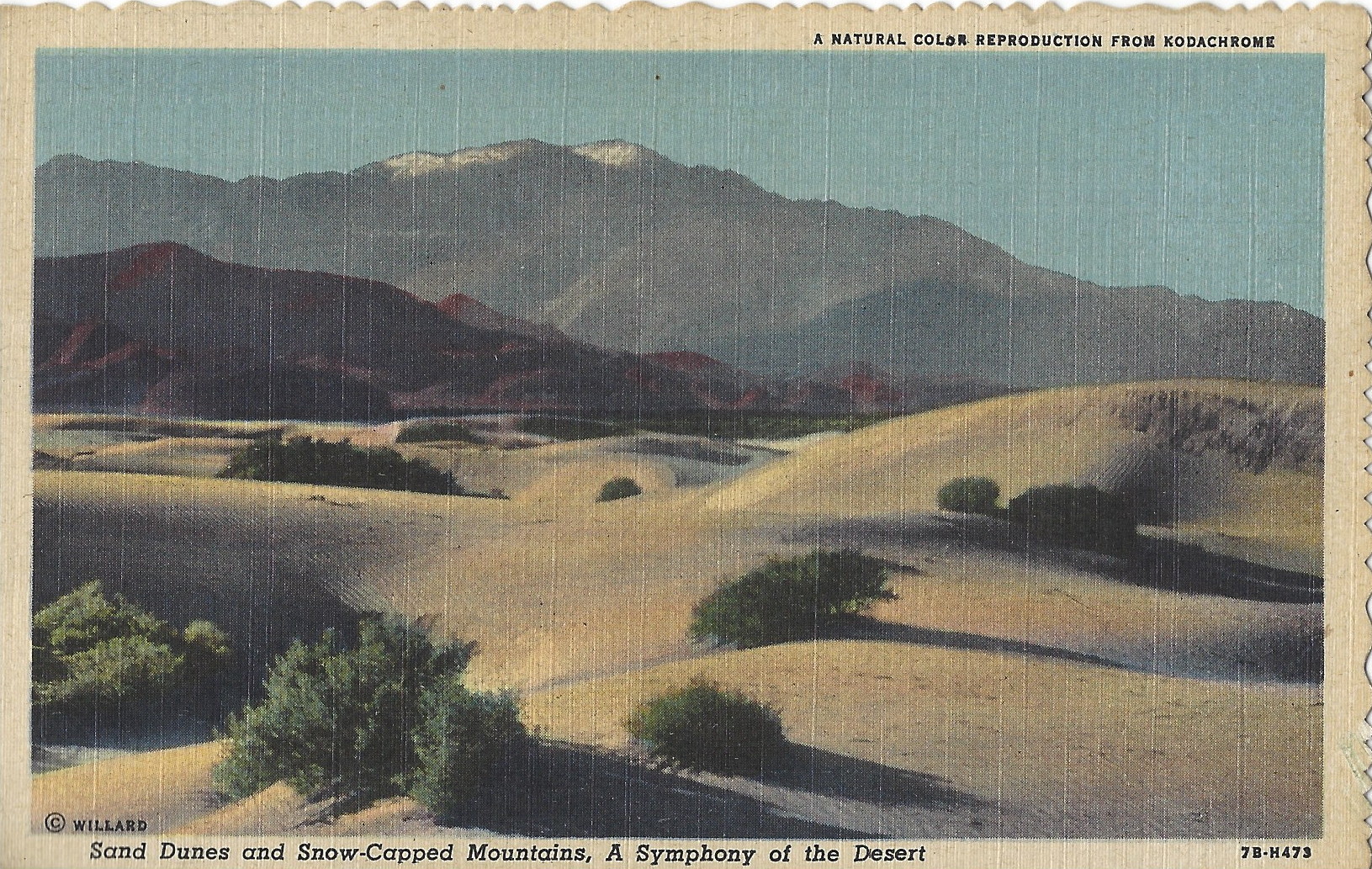 4 Historical Postcards Of Palm Springs, California, THE WESTCOTT