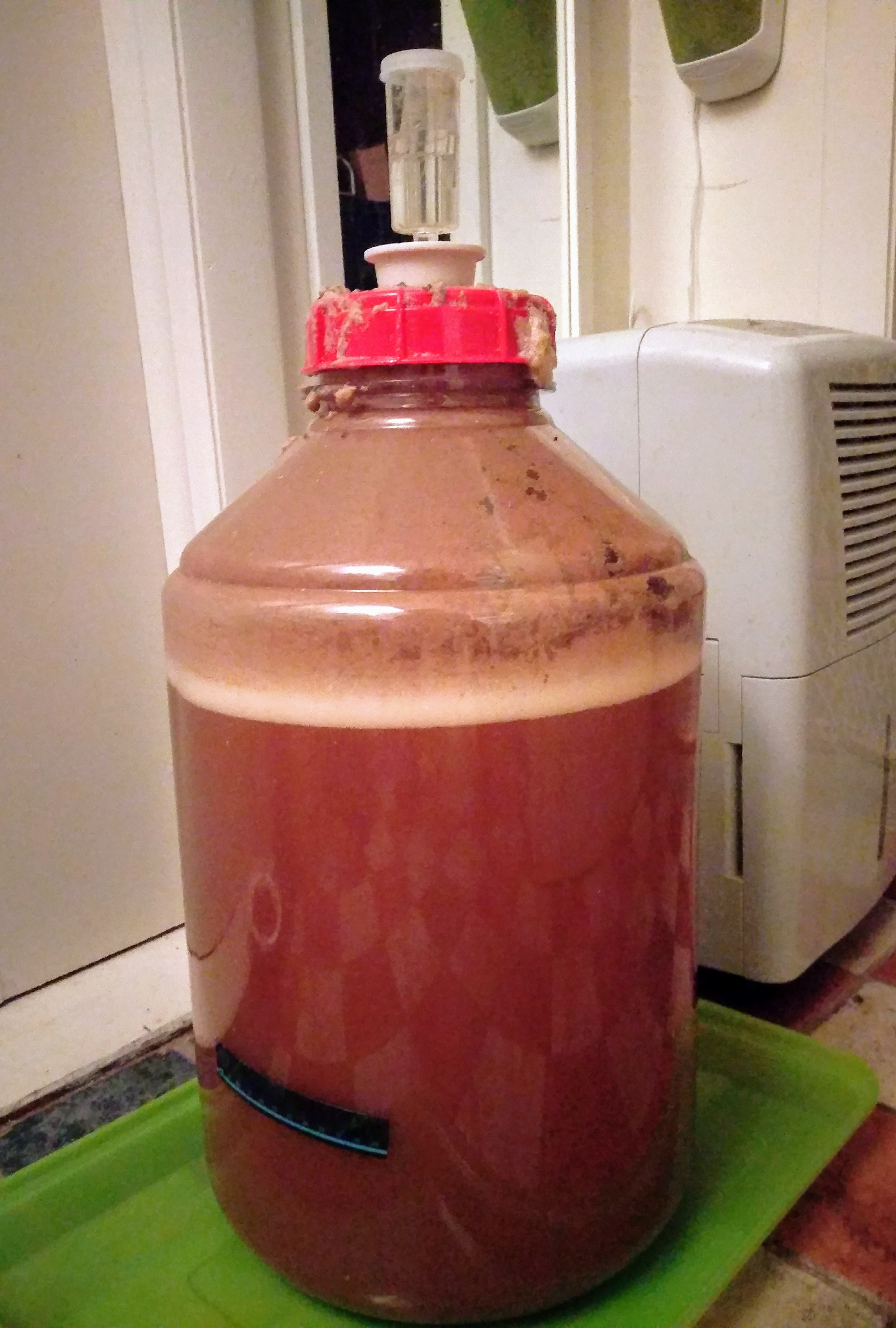 Fermenting nicely!