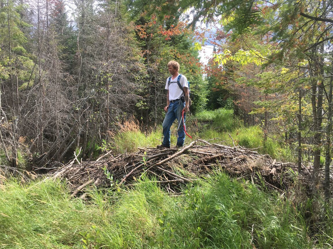 West end Banadad Beaver house on trail