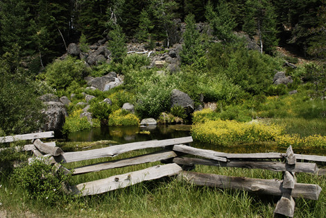 Spring at Domingo Springs in Plumas County