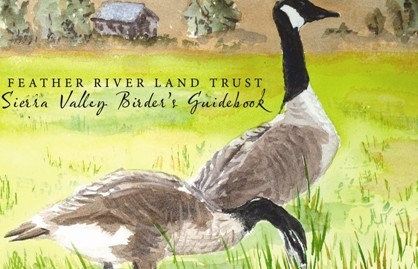 Feather River Birder Guide Book Cover