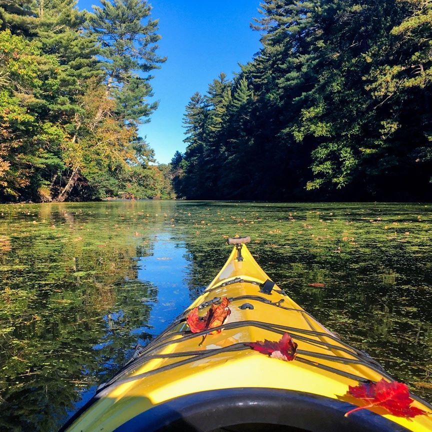 Asheville Wide Open Pinecrest Bed & Breakfast