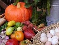 Farm To Table