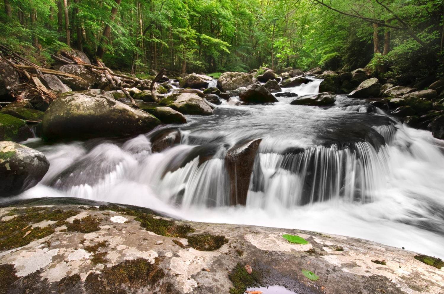 Waterfall rocky