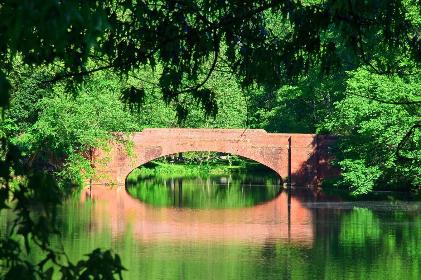 Bass Pond Bridge at Biltmore Estate