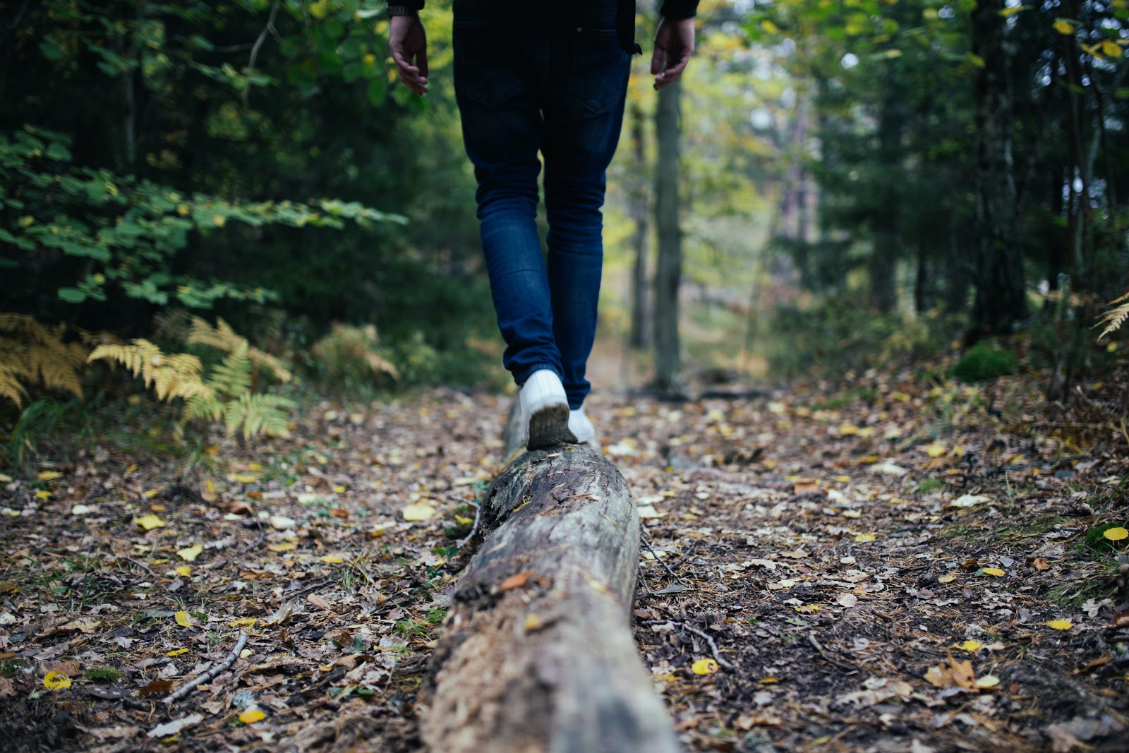 Off the Beaten Path Hikes to Trek in Asheville, NC, The Asheville Bed &amp; Breakfast Association