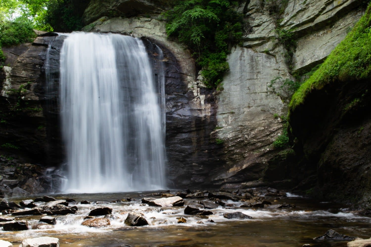 Looking Glass Falls